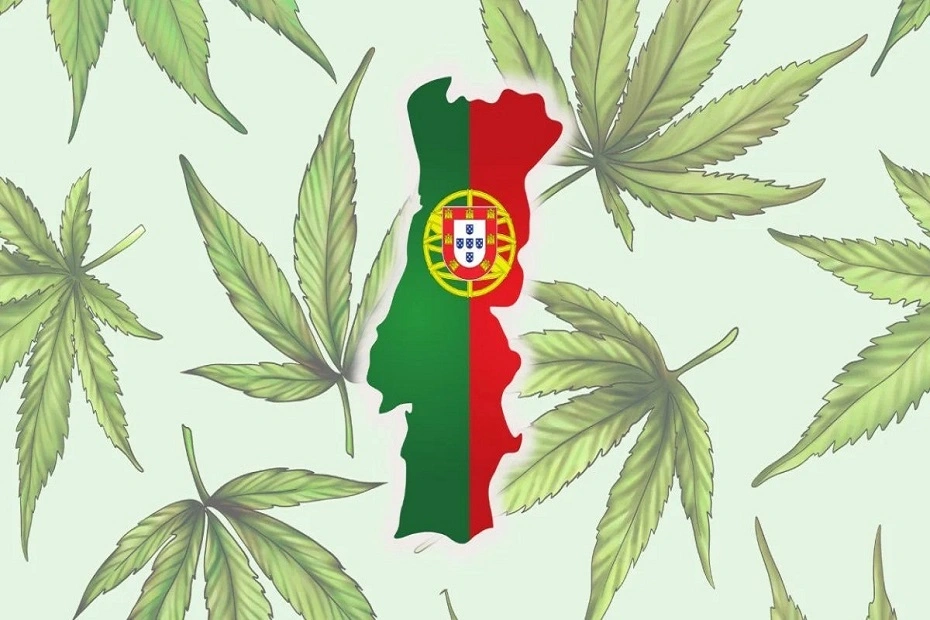 Illustrated marijuana leaves surrounding a graphic edit flag of Portugal.