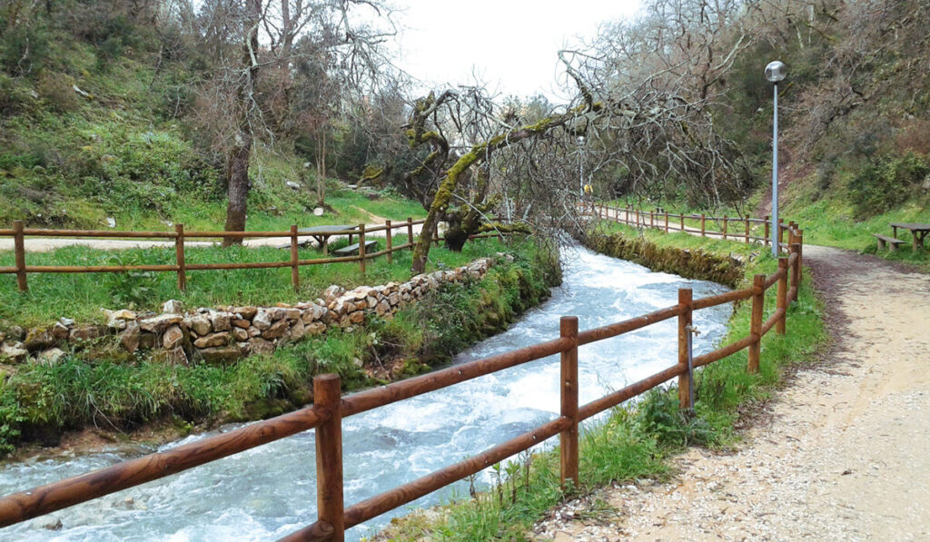 find-cannabis-in-leiria-cannatrailz.com