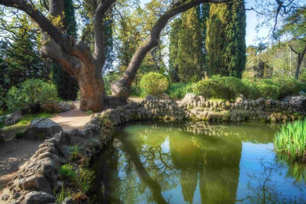 find-cannabis-in-tomar-cannatrailz.com