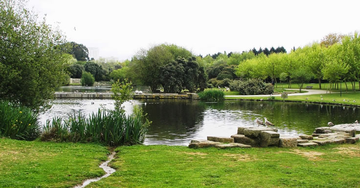 cannabis-in-porto-cannatrailz.com