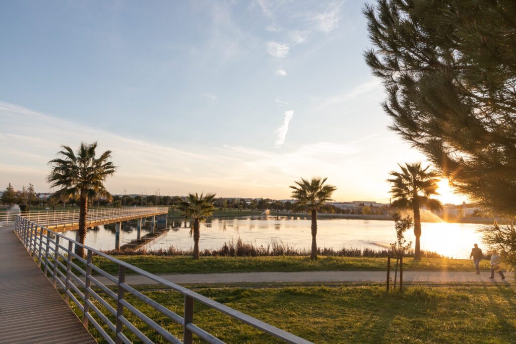 cannabis-in-castelo-branco-cannatrailz.com