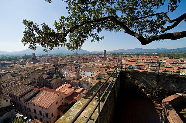 weed-in-lucca-safe-spot