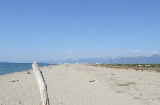 Sandy beach stretch for cannabis in Viareggio