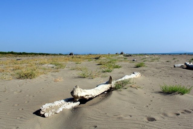 le-marze-beach-cannabis-in-castiglione-travel-guide