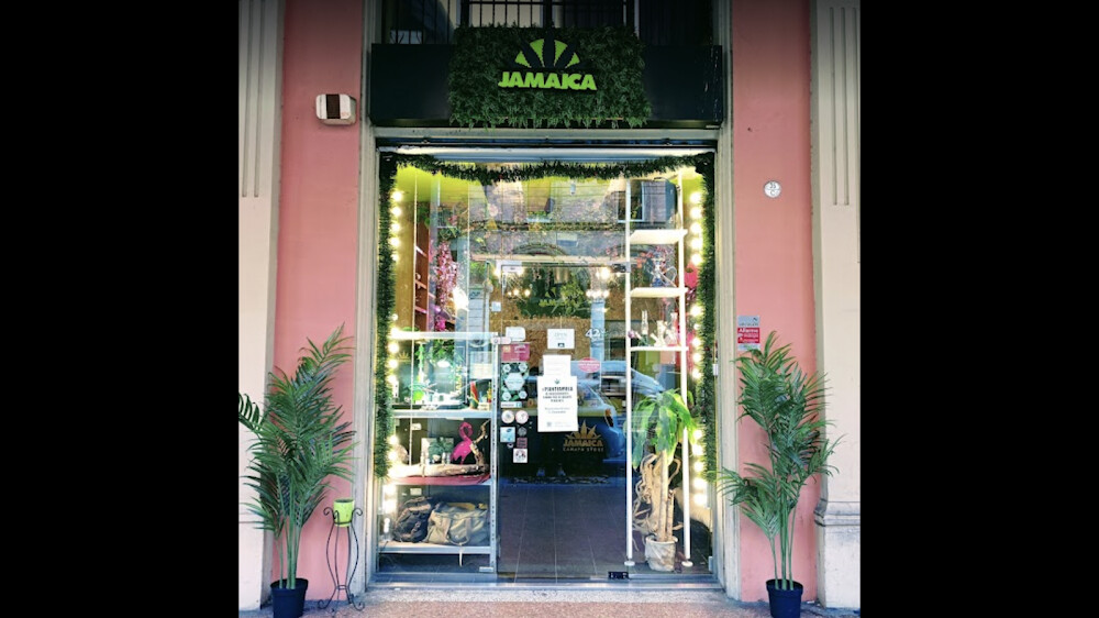 Cannabis in Bologna store