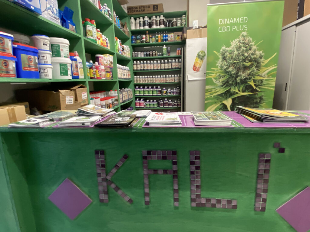 Cannabis in Cefalù growshop