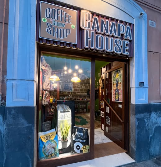 Cannabis in Naples canapa store