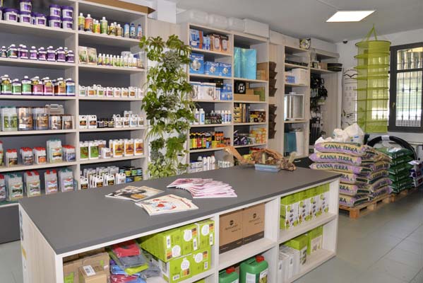Cannabis in Sondrio cbd growshop