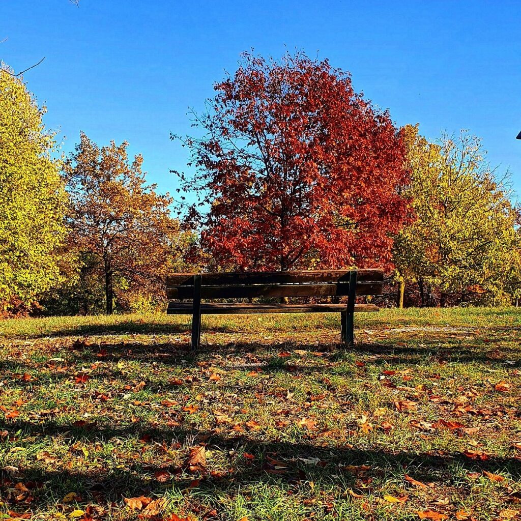 Parco Ferrari for Weed in Modena