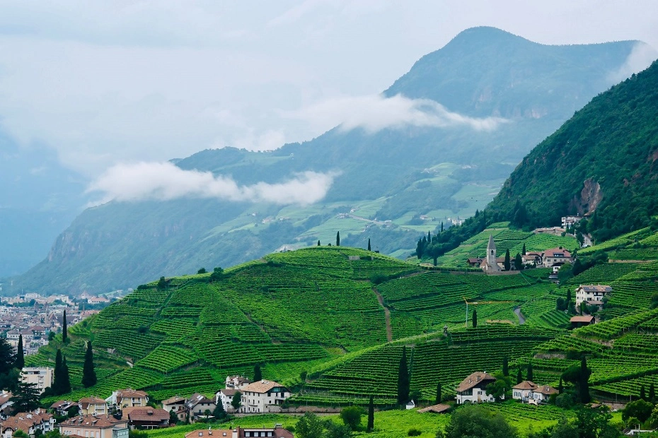 View of the St. Magdalena vineyards above the city of Bolzano, Italy.