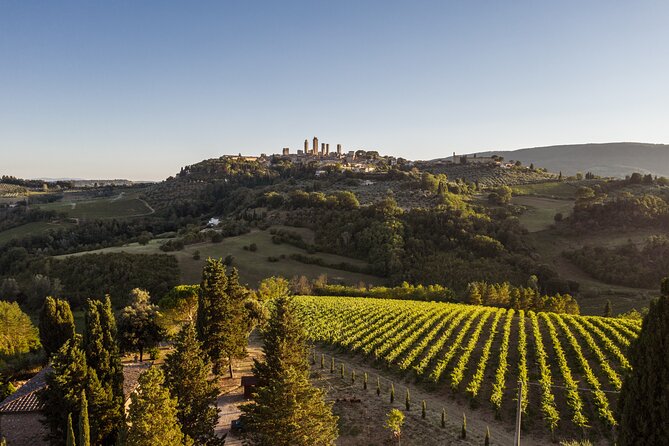 Vineyard landscape with distant town for cannabis in san gimignano