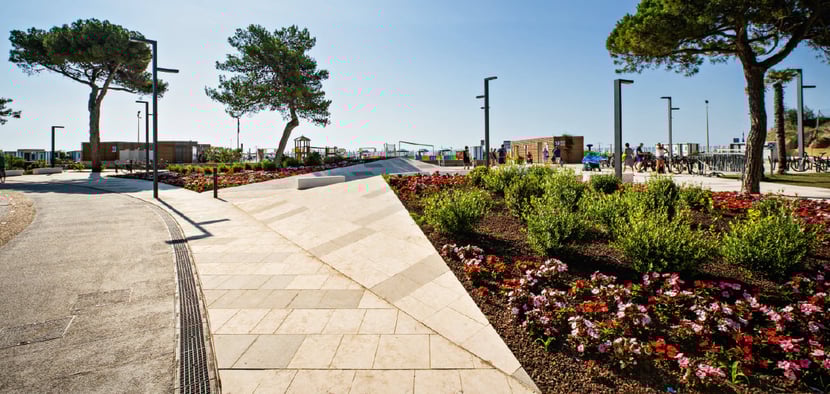 Weed in Lignano Sabbiadoro lungomare