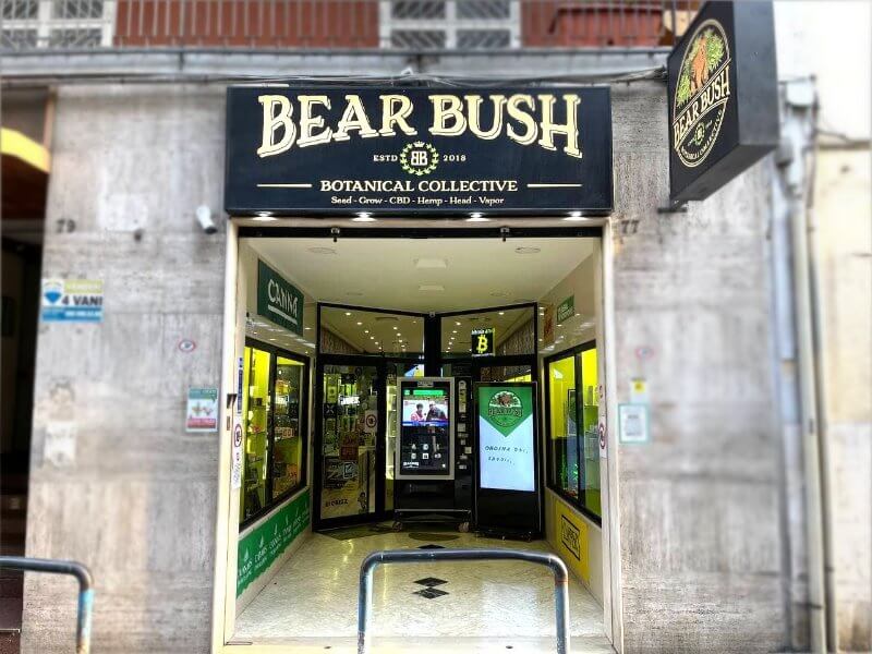 BearBush-Cannabis-in-Bari