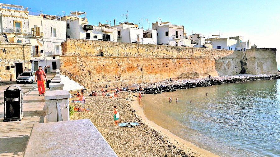 Beachside weed in Monopoli
