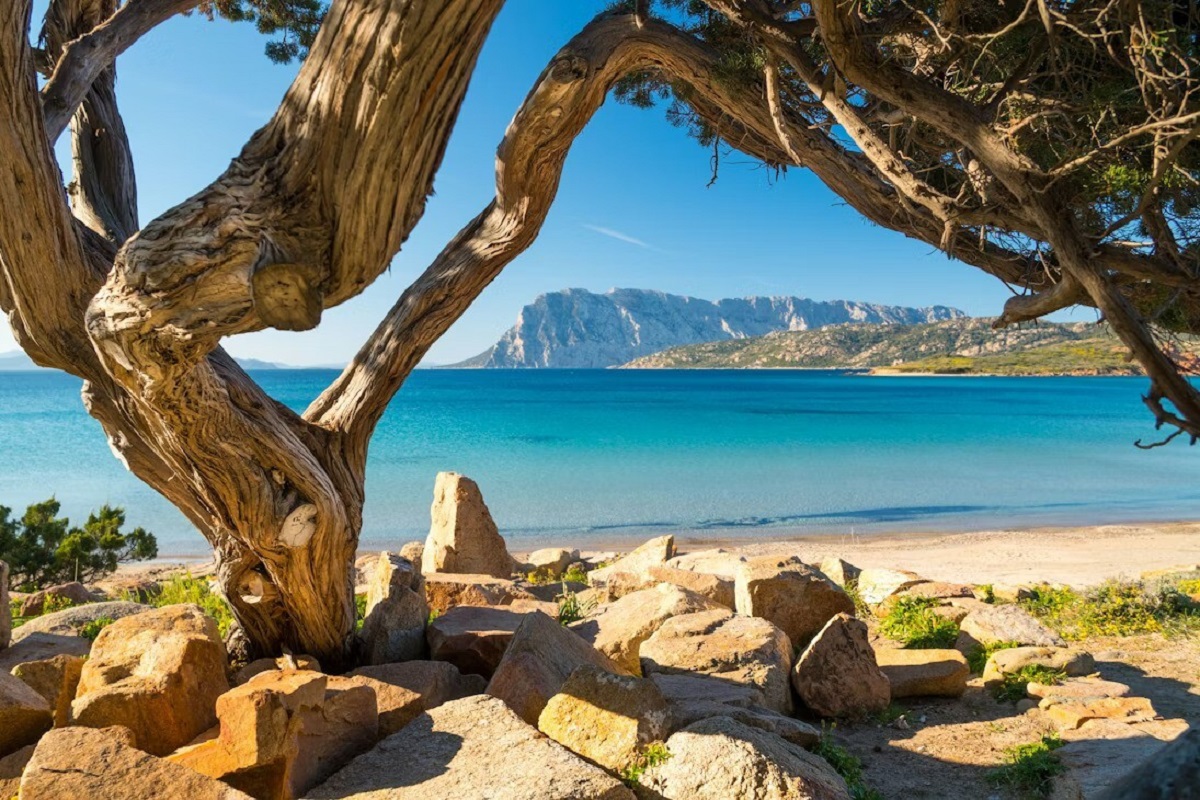 Scenic beach and Island view for cannabis in San Teodoro Travel Guide.