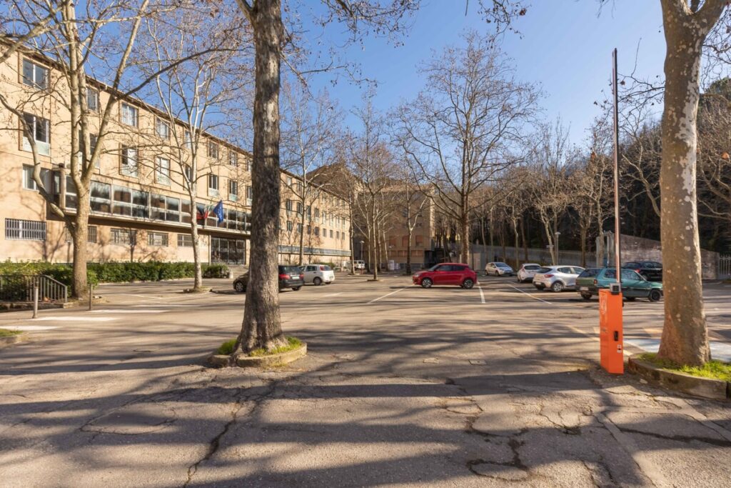 Weed in Perugia accomodations