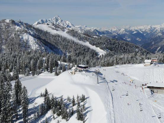Cannabis in Tarvisio ski slopes